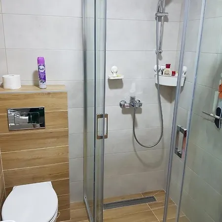 Διαμέρισμα Gaga *