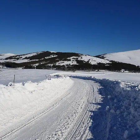 Gaga * Ζλάτιμπορ