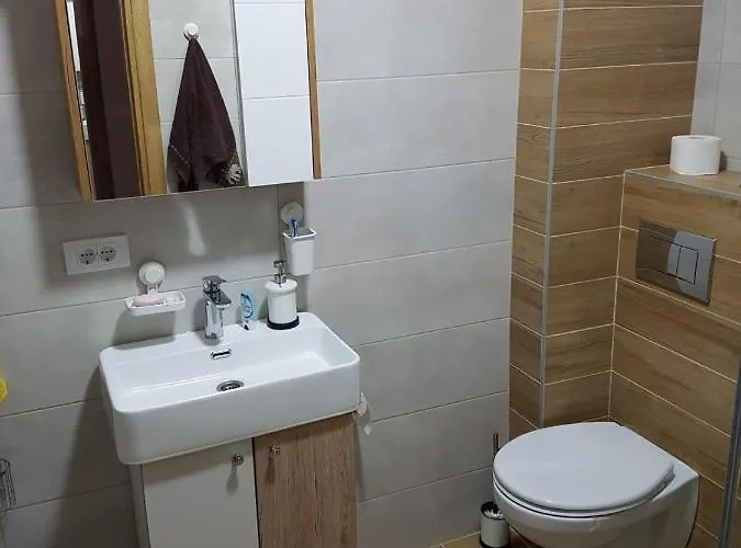 Apartment Gaga Zlatibor